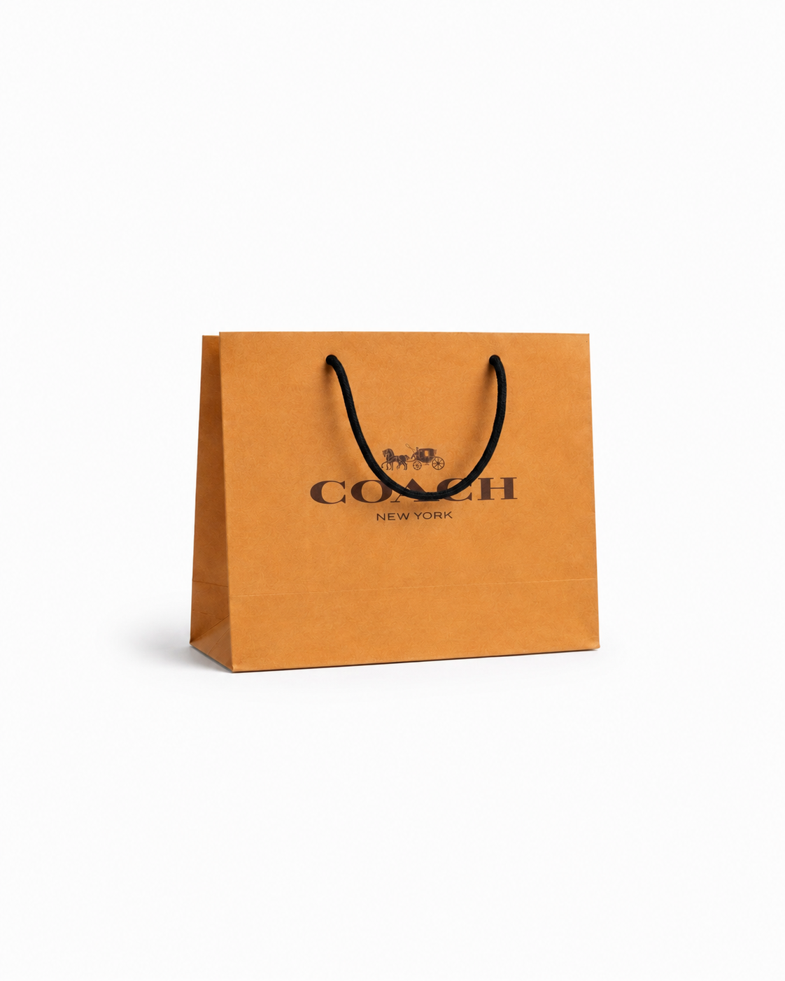 Bolsas Coach Marron