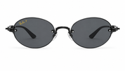 Ray-Ban RB3929 Gafas de Sol Redondas Negras