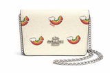 Coach Mini Skinny Arcoiris