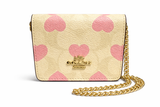Coach Mini Skinny Corazones
