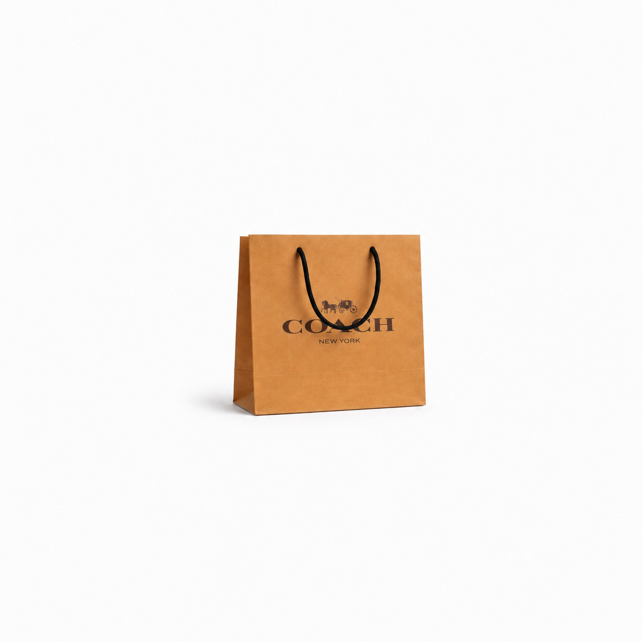 Bolsas Coach Marron