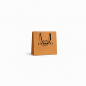 Bolsas Coach Marron
