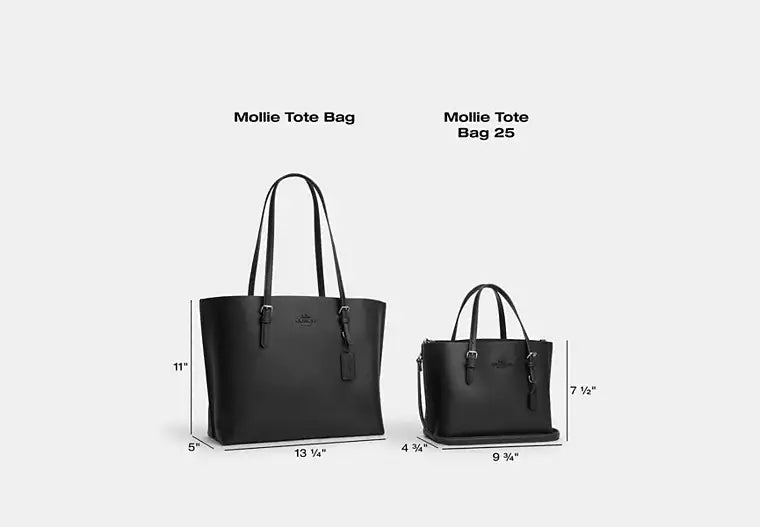 Coach Mollie Tote Bag 25 In Signature Canvas Blanca